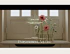 Perfumed Mango Seed Butter Hand Cream - 13 Types - #Hug Soap