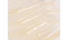 Mango Seed Butter Lip Essence Set - 2 pcs