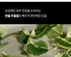 Mango Seed Butter Lip Essence Set - 2 pcs
