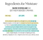 Mango Seed Butter Lip Essence Set - 2 pcs