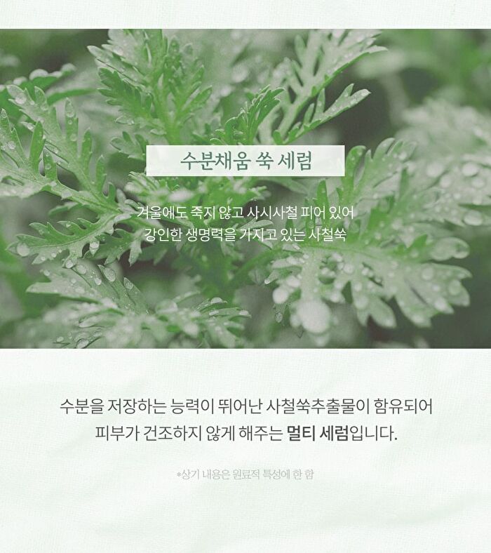 Multi Serum - 2 Types - Ginseng Retinol