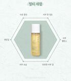 Multi Serum - 2 Types - Ginseng Retinol