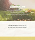 Multi Serum - 2 Types - Ginseng Retinol