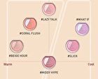 Dual Effect Blushlighter - 7 Types - #SLICK - 4.3g