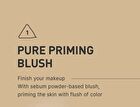 Dual Effect Blushlighter - 7 Types - #CORAL FLUSH - 4.3g
