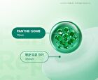 Bioheal Boh Panthecell Repair Cica-Some Gel Pads - 2025 Version - 80 pads