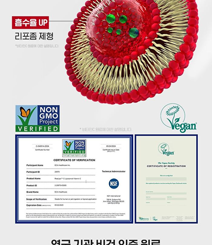 Mega C Liposome Vitamin C Plantium 07 - 1000mg x 30 tablets