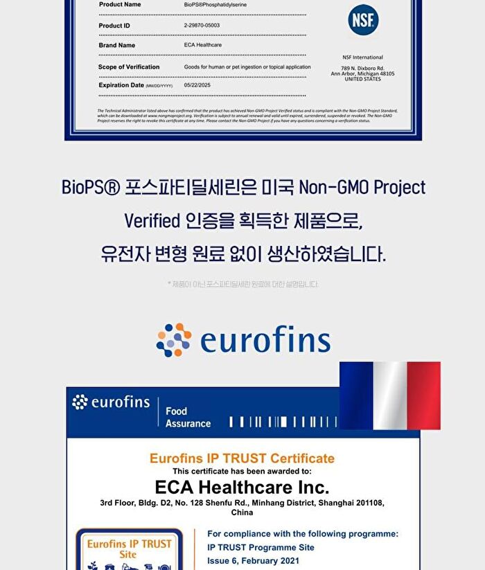 Phosphatidylserine Brain PS 70 - 2g x 30 sticks
