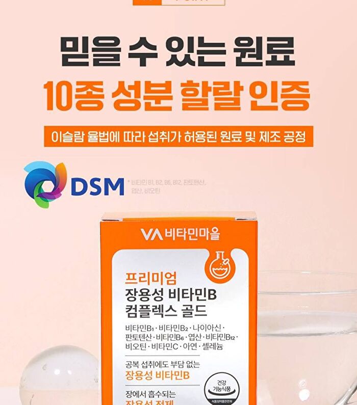 Premium Enteric-Coated Vitamin B Complex Gold - 600mg x 30 tablets