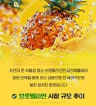 Real Bromelain Pineapple Fermenting Enzyme - 2g x 30 sticks