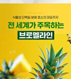 Real Bromelain Pineapple Fermenting Enzyme - 2g x 30 sticks