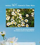 Chamomile Skin Barrier Cream - 50ml