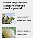 Chamomile Skin Barrier Cream - 50ml