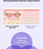 Chamomile Skin Barrier Cream - 50ml