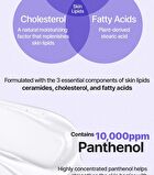 Chamomile Skin Barrier Cream - 50ml