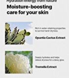 Chamomile Skin Barrier Toner - 210ml