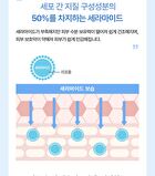 Ceramide Intensive Moisture Cream Sheet Mask - 28g x 1 sheet