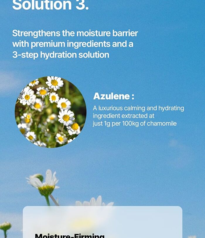 Azulene Dual Exosome Collagen Mask Set - 40g x 5 sheets
