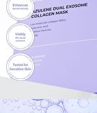 Azulene Dual Exosome Collagen Mask Set - 40g x 5 sheets