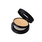Luminous Silk Compact Powder - 13 Colors - 05# Honey Beige - 10g