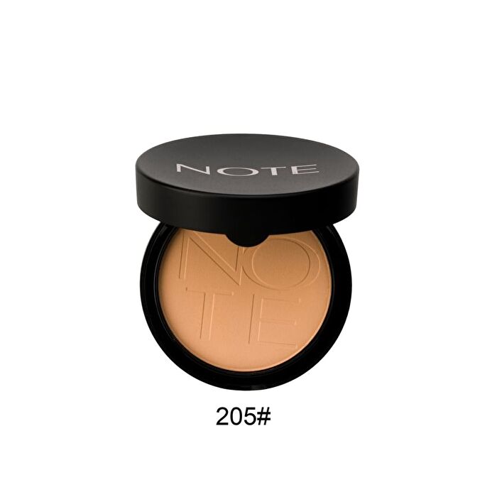 Luminous Silk Compact Powder - 13 Colors - 199# - 10g