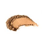 Luminous Silk Compact Powder - 13 Colors - 199# - 10g
