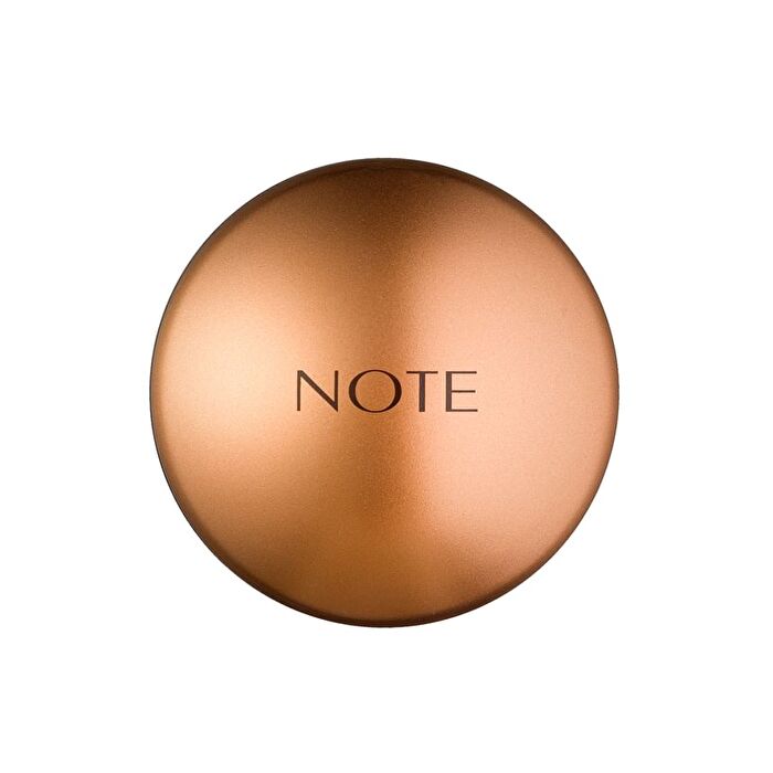 Bronzing Powder - 3 Colors - 10# - 20g