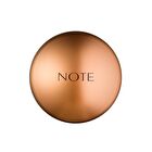 Bronzing Powder - 3 Colors - 10# - 20g