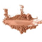 Bronzing Powder - 3 Colors - 20# - 20g