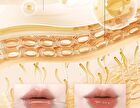 Out-of-office 2 In 1 Glossy Lip Balm & Lipliner - 6 Colors - 05# Nude-Toned Milk Tea (1.3g + 300mg)
