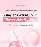 PDRN Exosome Hydrating Gel Mist - 100ml