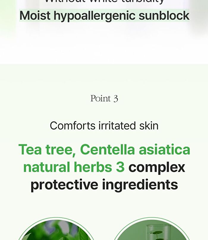 Teatree Herb Tox Cica Sunblock - 50ml