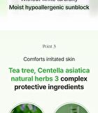 Teatree Herb Tox Cica Sunblock - 50ml