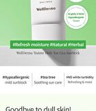 Teatree Herb Tox Cica Sunblock - 50ml