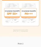 Pumpkin Vita Tox Tone Up Cream - 50ml