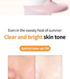Pumpkin Vita Tox Tone Up Cream - 50ml