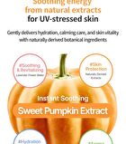 Pumpkin Vita Tox Tone Up Cream - 50ml
