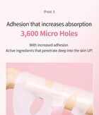 Premium PDRN Exosome Hydrogel Fitting Mask Set - 30g x 4 sheets