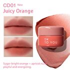 Into You Clash & Dou Lip Mud - 6 Colors - #CD03 Wood Whisper- 5g