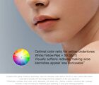 Red Chamber Haruki Concealer Palette - #PC400 - 6.8g