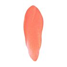 theBalm Talk is Cheek : Cream Blush - 6 Colors - Chatter - 4ml