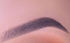 theBalm Fun Guy : Eyeshadow Palette - Vol 1 - Fun Guy - 7.2g