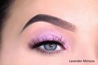 theBalm Sparkling Lid-Quid Eyeshadow - 6 Colors - Rose - 4.5ml