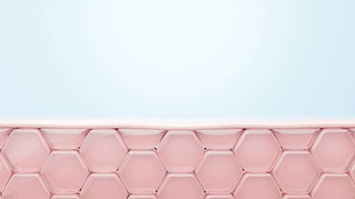 Ato Cream - 2025 Version - 240ml