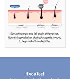 Collagen Eyelash Serum - 9g