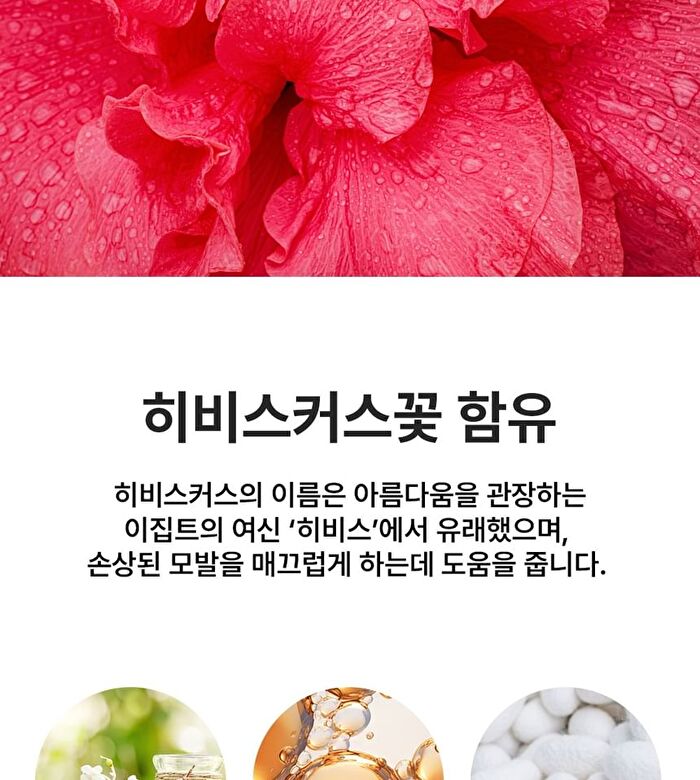 Tamanu Oil Mild Shampoo - 2 Types - Hibiscus