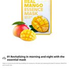 Real Essence Mask - 16 Types - Oatmeal