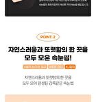 Point Piece Lashes - 2 Types - 2025 Version - #02 Clear Daily