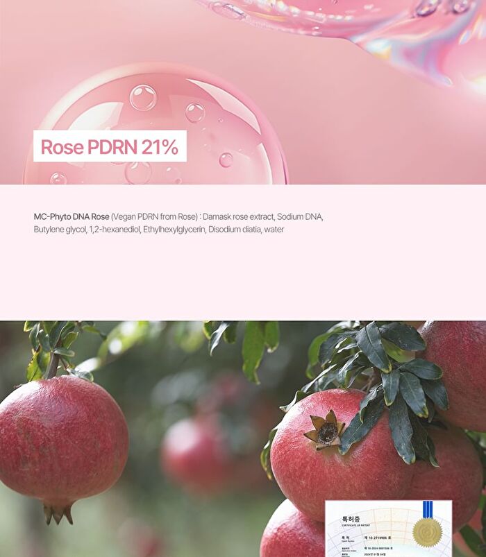 PDRN TX1 Perfect Fit Serum - 50ml