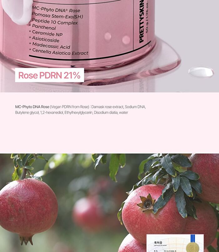 PDRN TX1 Perfect Fit Cream - 50g